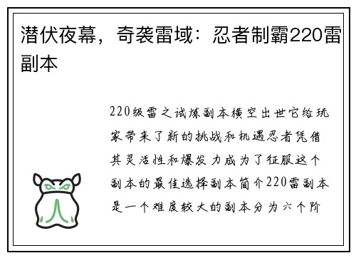 潜伏夜幕，奇袭雷域：忍者制霸220雷副本